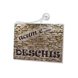#IMG_DESCR#